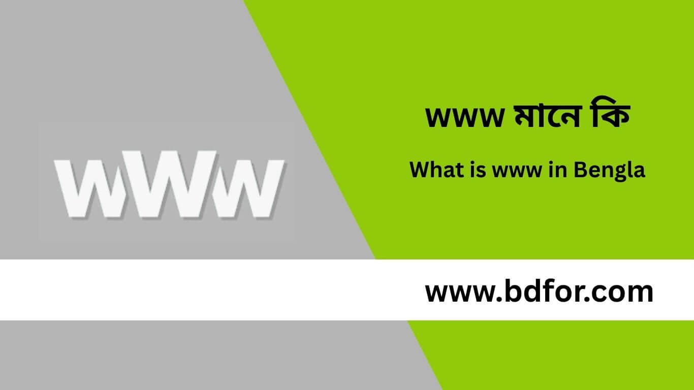What is www in Bengla